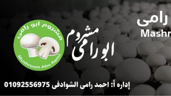 مشروم ابو رامى